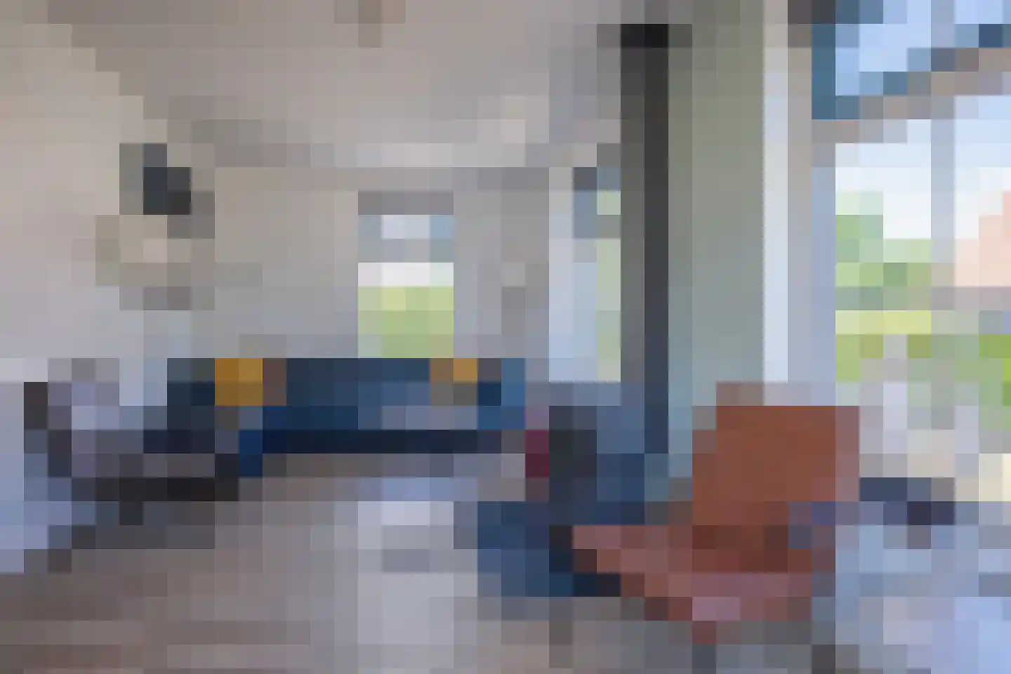Bosrandweg 369 A513 De Koog thumbnail 8