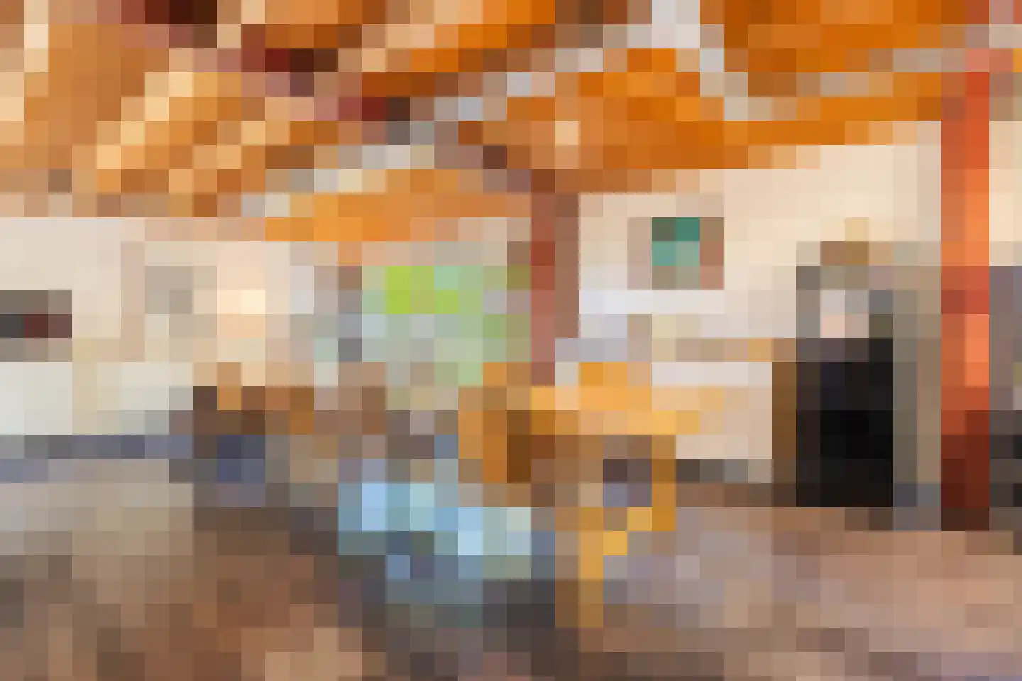 Bosrandweg 37 Dalfsen thumbnail 32