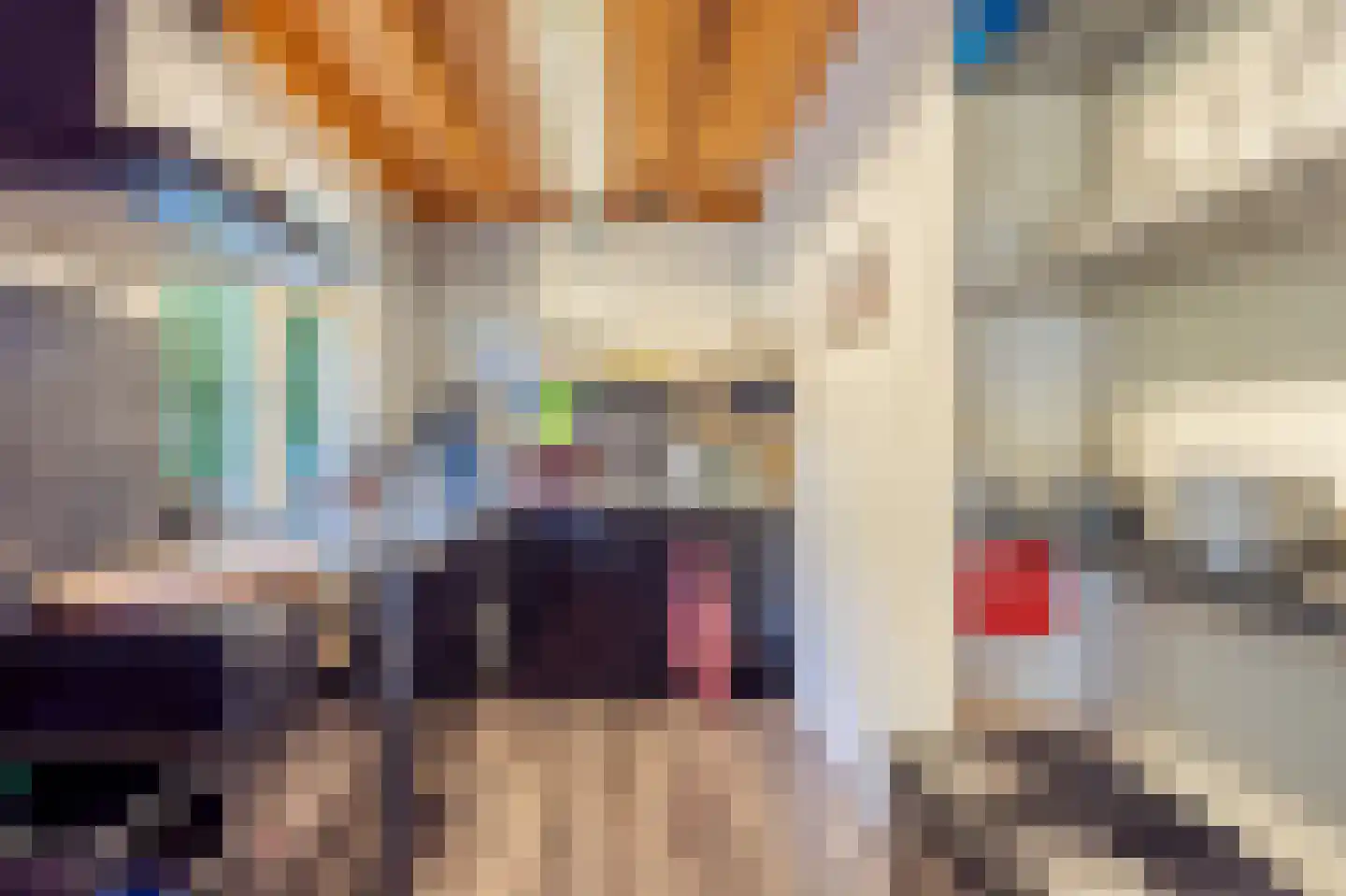 Bosrandweg 37 Dalfsen thumbnail 33