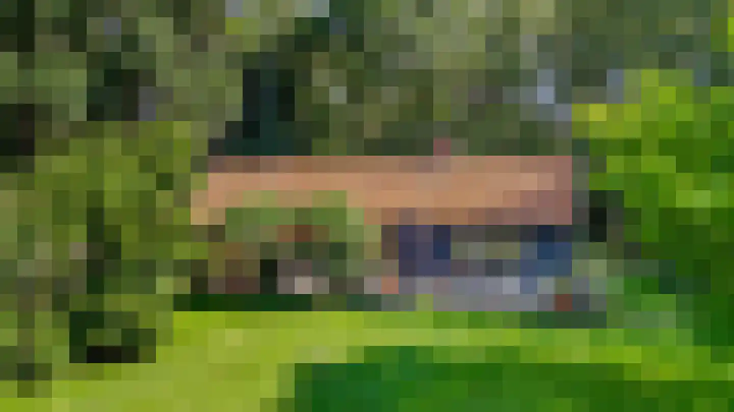 Bosrandweg 37 Dalfsen thumbnail 4