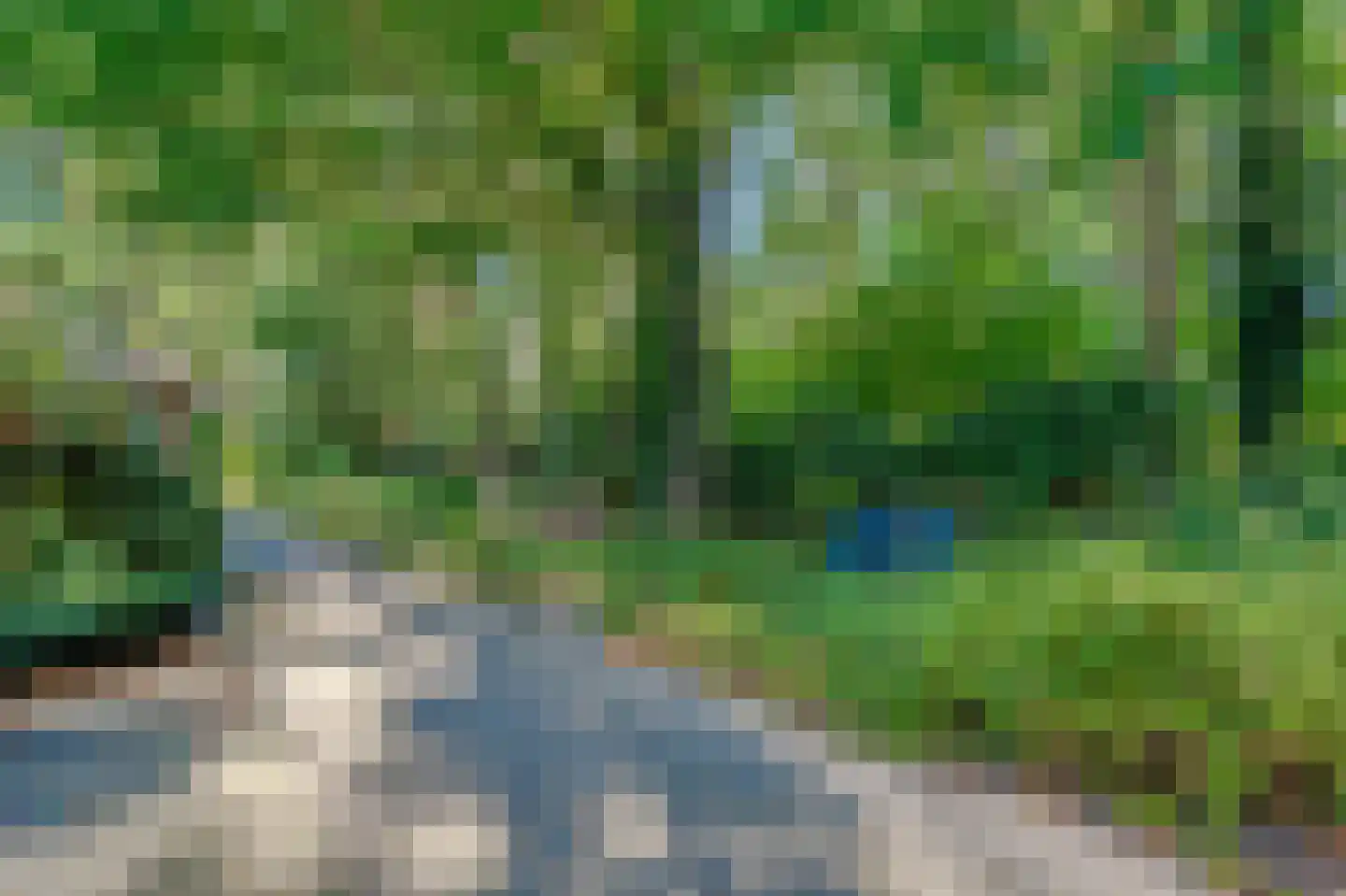 Bosrandweg 37 Dalfsen thumbnail 42
