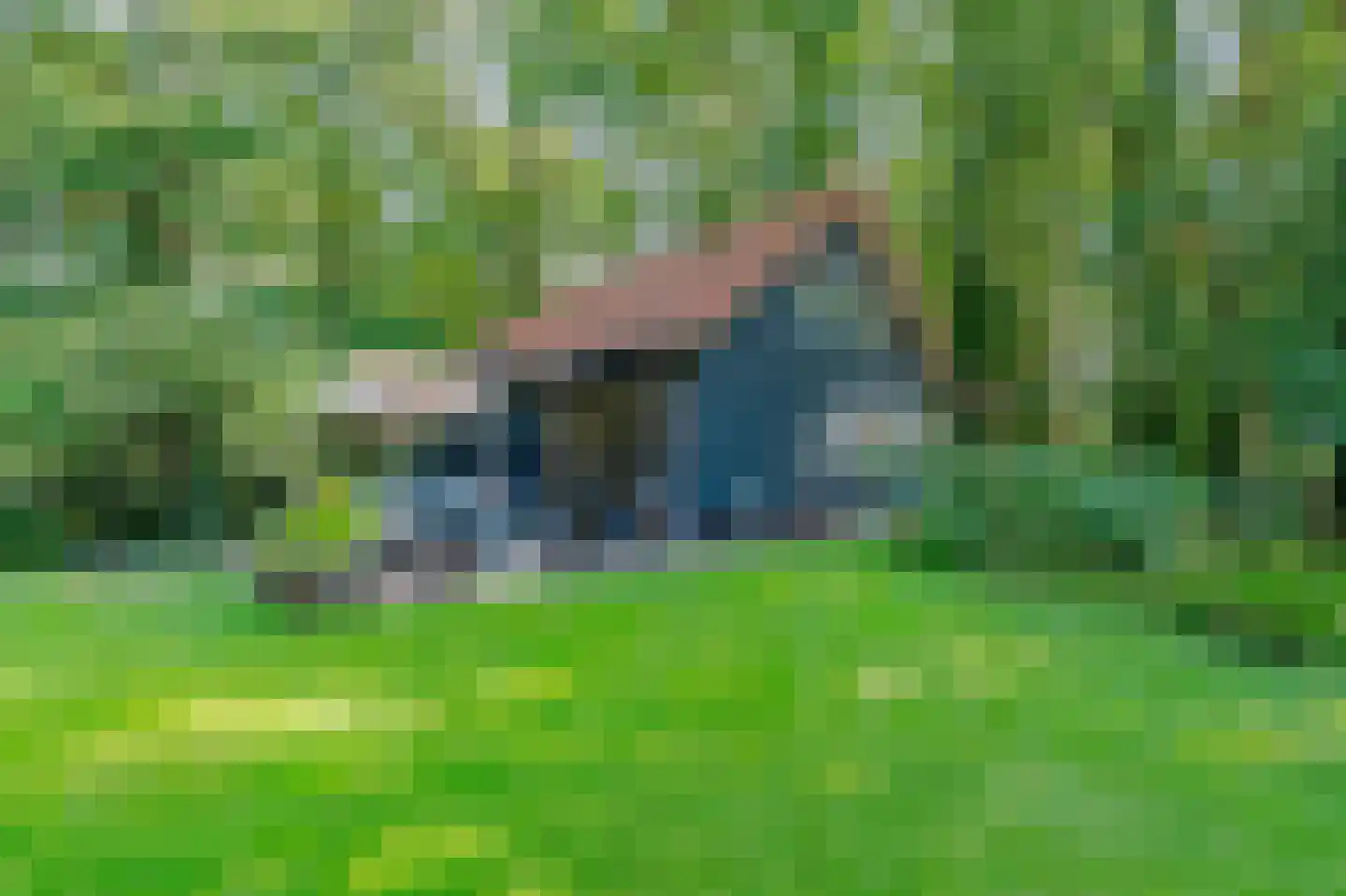 Bosrandweg 37 Dalfsen thumbnail 43