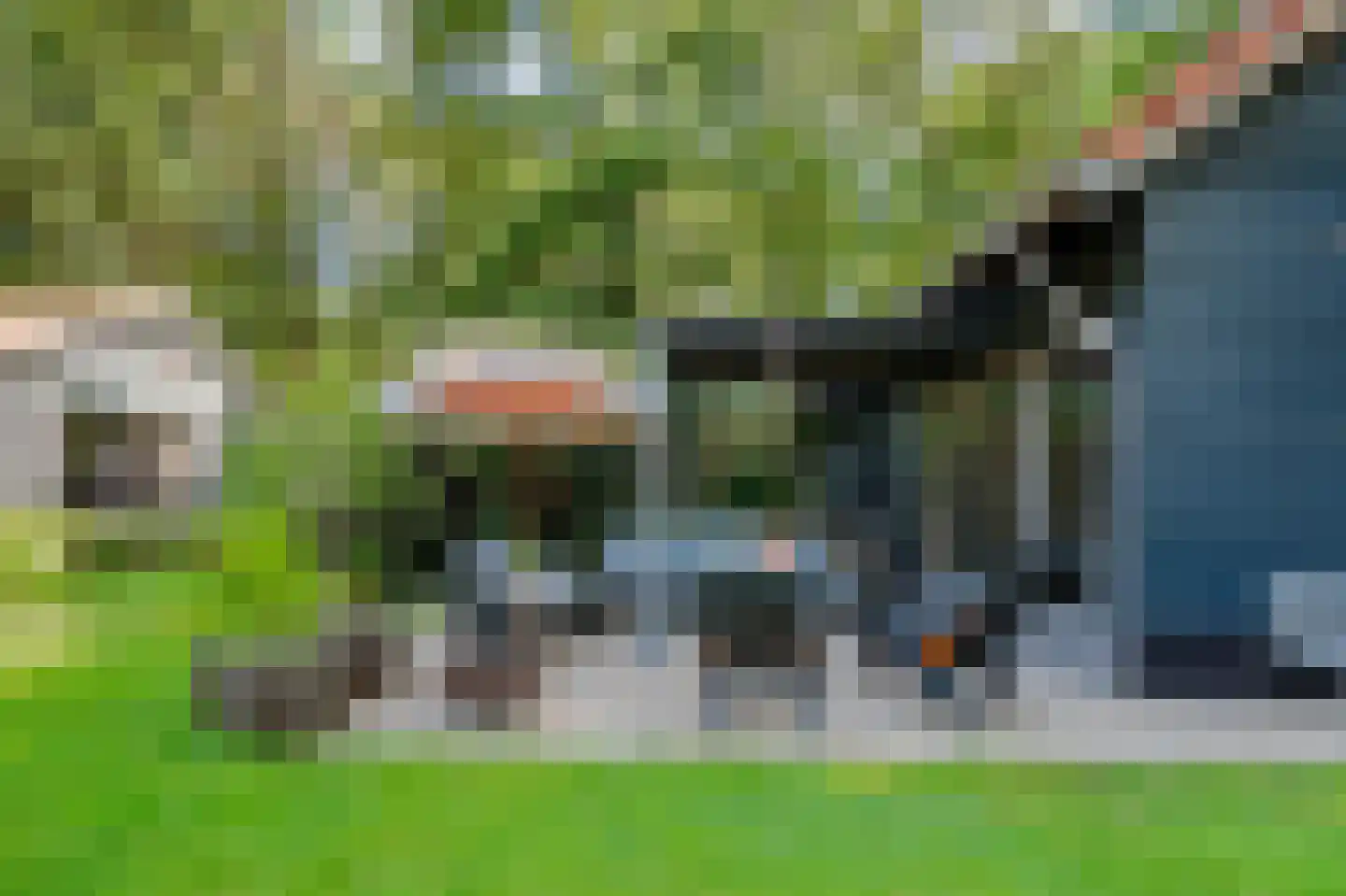 Bosrandweg 37 Dalfsen thumbnail 45