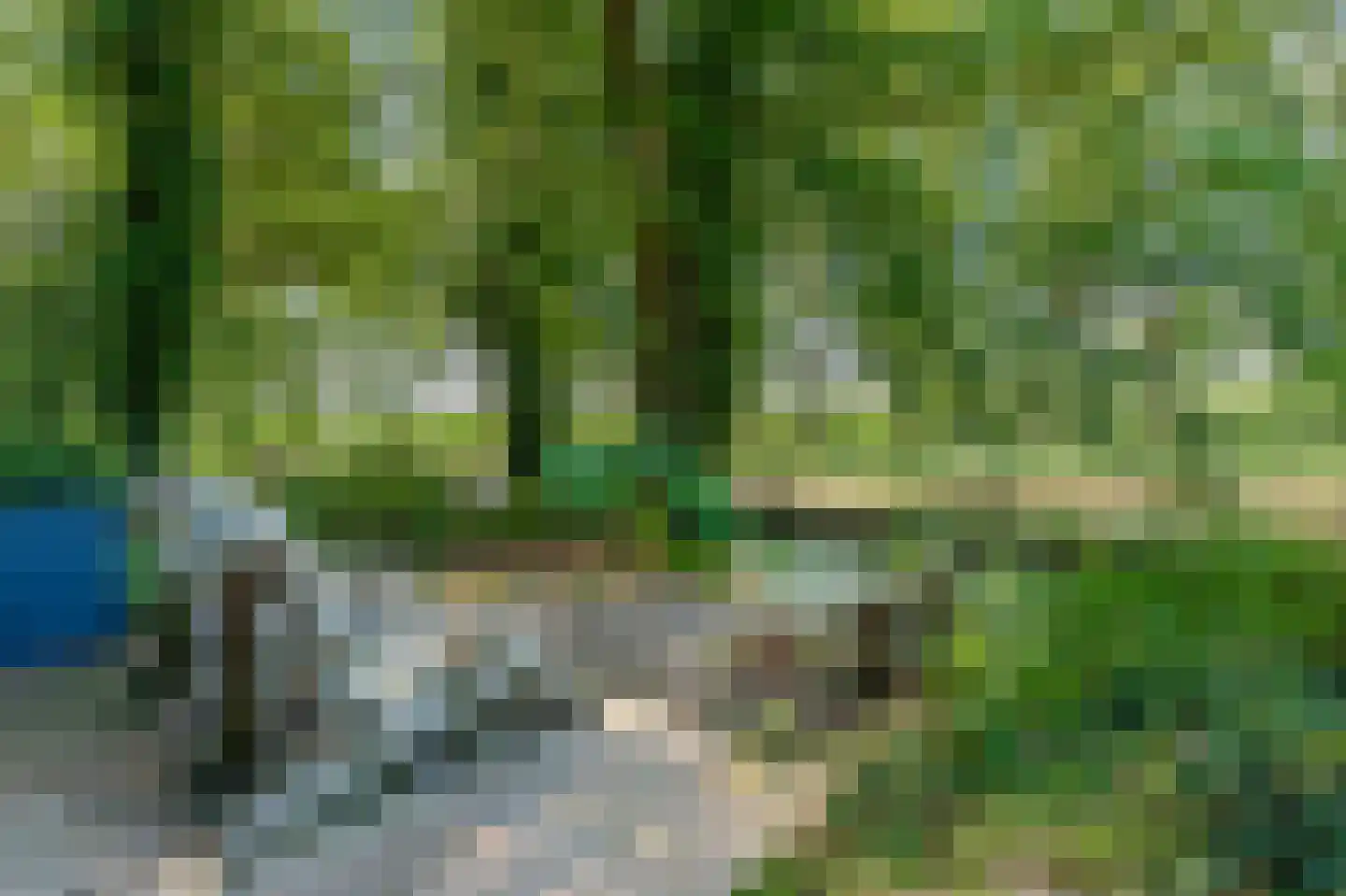 Bosrandweg 37 Dalfsen thumbnail 48