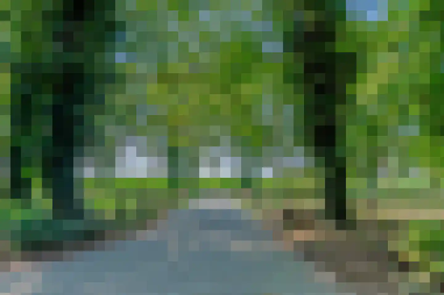 Bosrandweg 37 Dalfsen thumbnail 5
