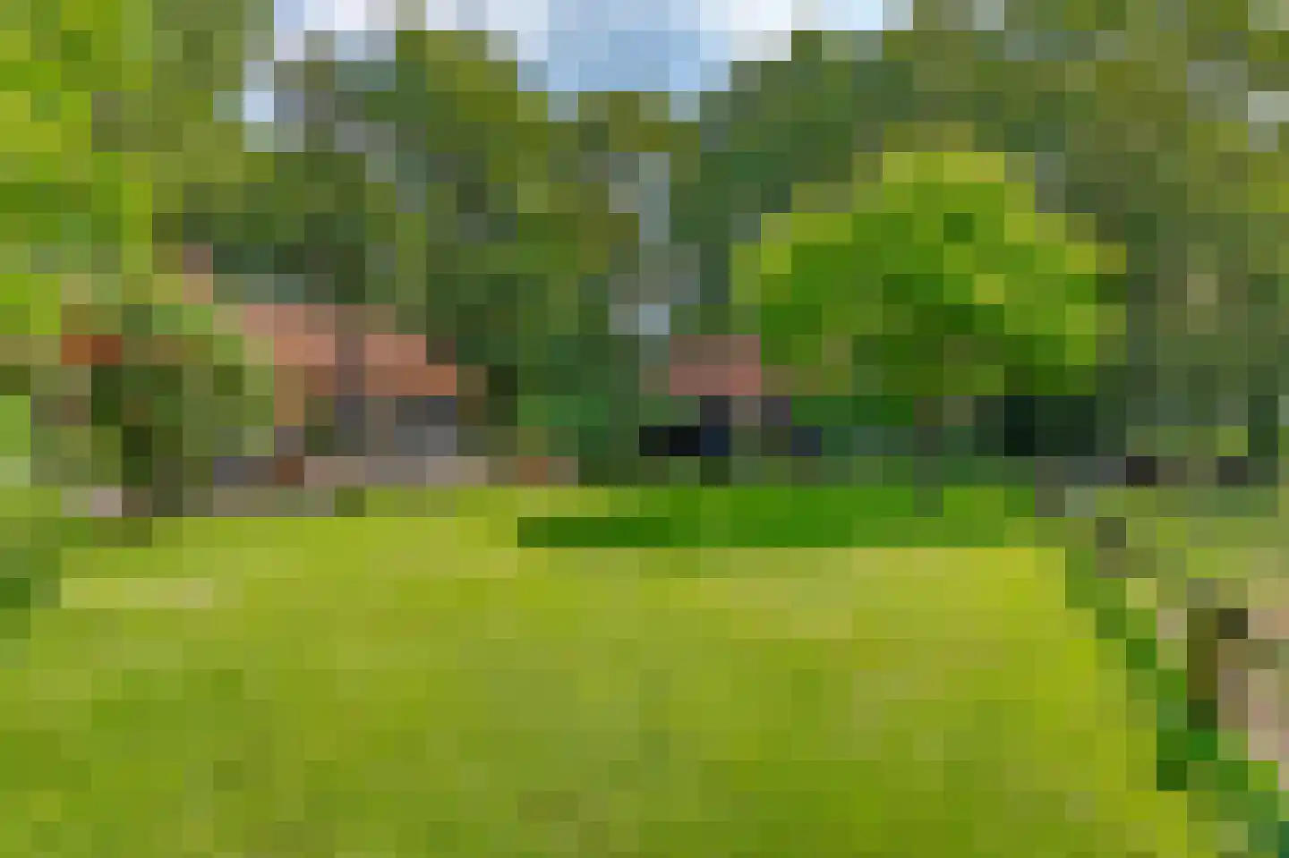 Bosrandweg 37 Dalfsen thumbnail 53
