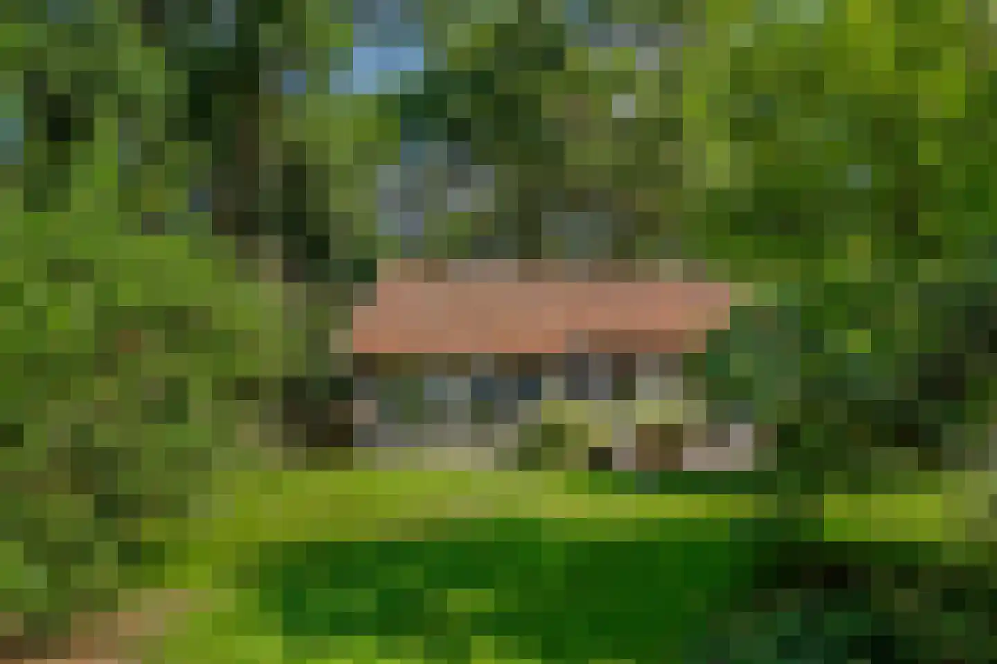 Bosrandweg 37 Dalfsen thumbnail 54
