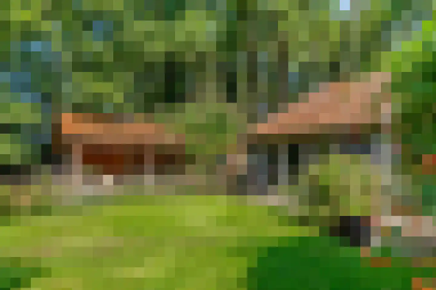 Bosrandweg 37 Dalfsen thumbnail 55