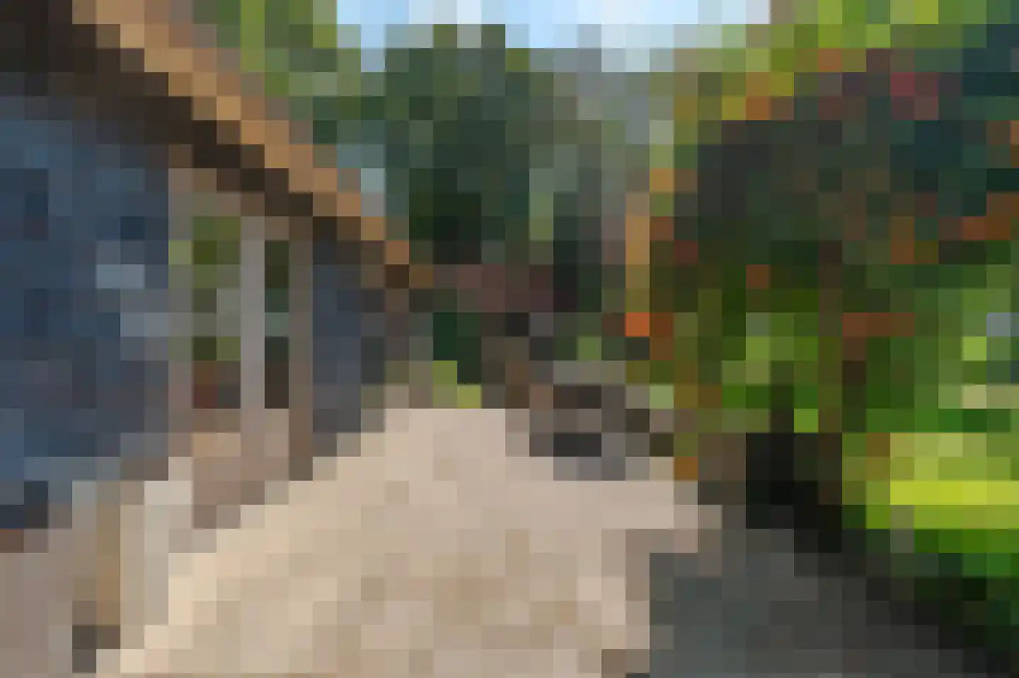 Bosrandweg 37 Dalfsen thumbnail 56