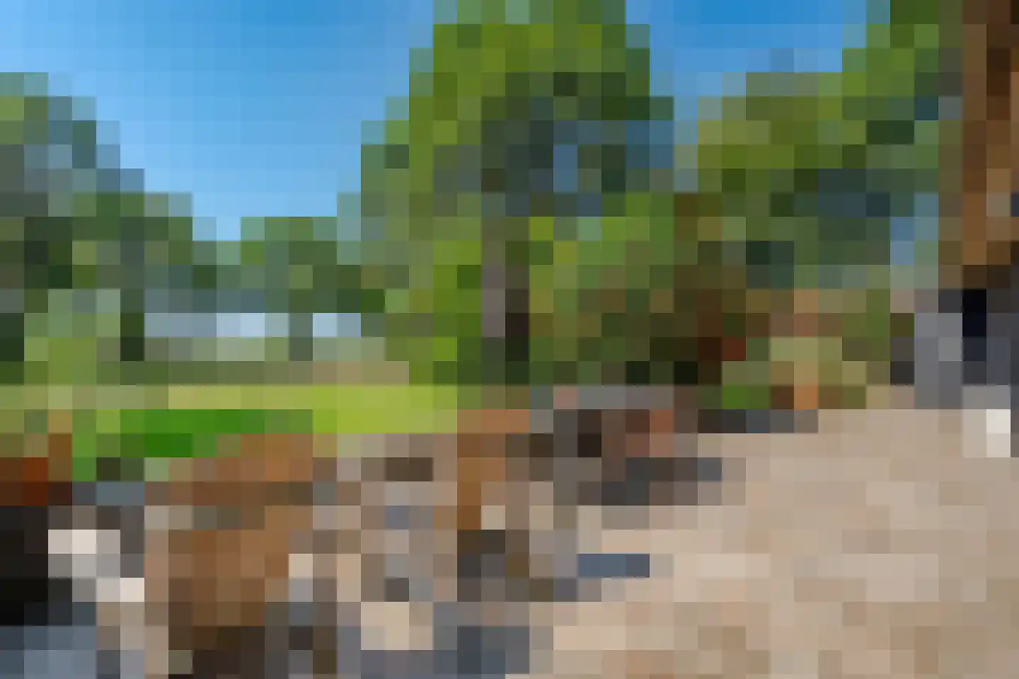 Bosrandweg 37 Dalfsen thumbnail 57