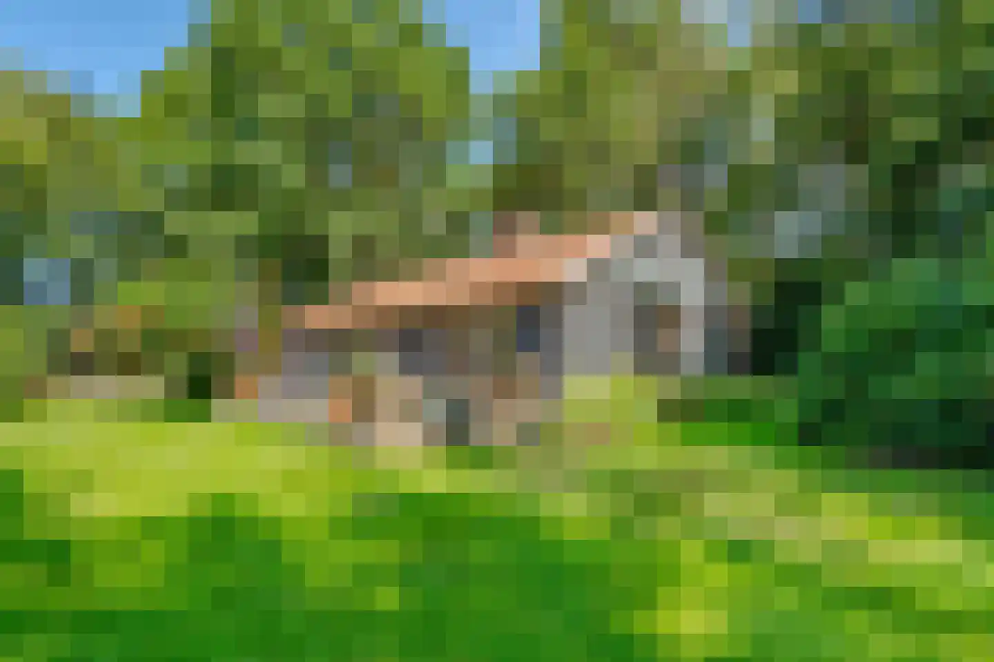 Bosrandweg 37 Dalfsen thumbnail 59