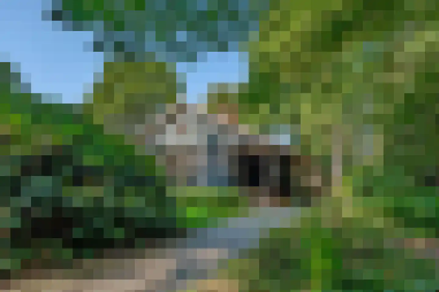 Bosrandweg 37 Dalfsen thumbnail 61