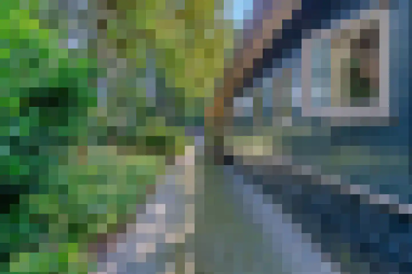Bosrandweg 37 Dalfsen thumbnail 63