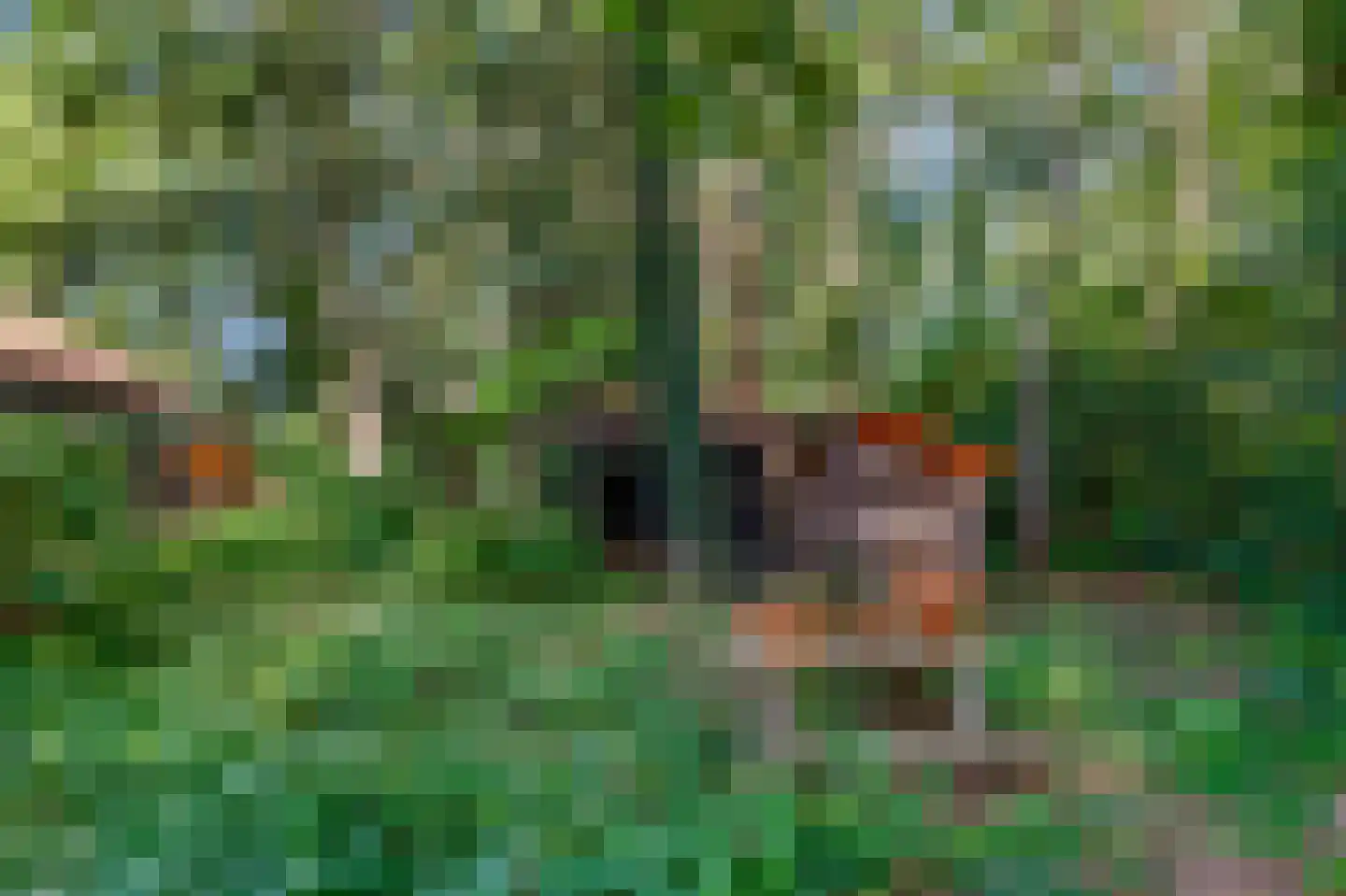 Bosrandweg 37 Dalfsen thumbnail 64