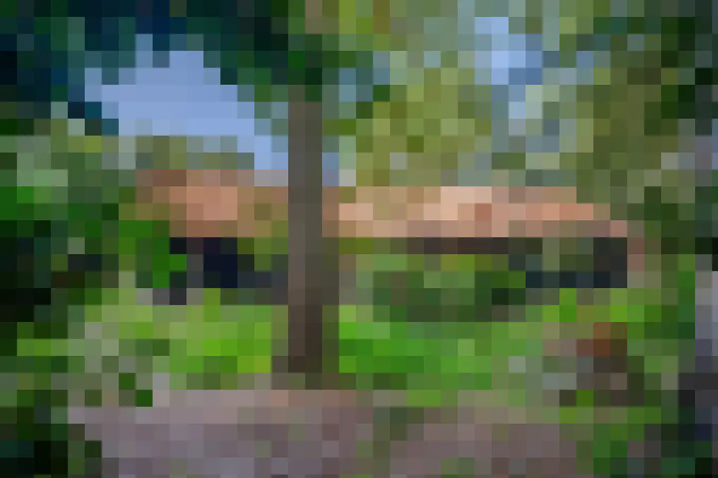 Bosrandweg 37 Dalfsen thumbnail 65