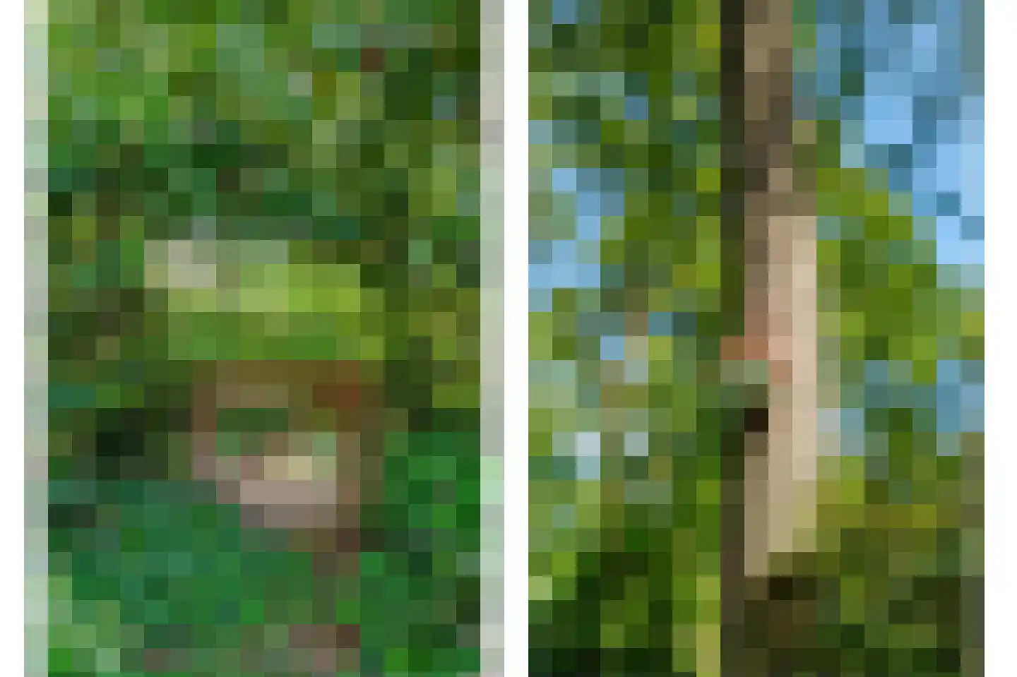 Bosrandweg 37 Dalfsen thumbnail 66