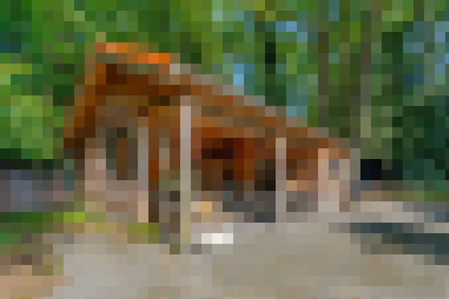 Bosrandweg 37 Dalfsen thumbnail 67