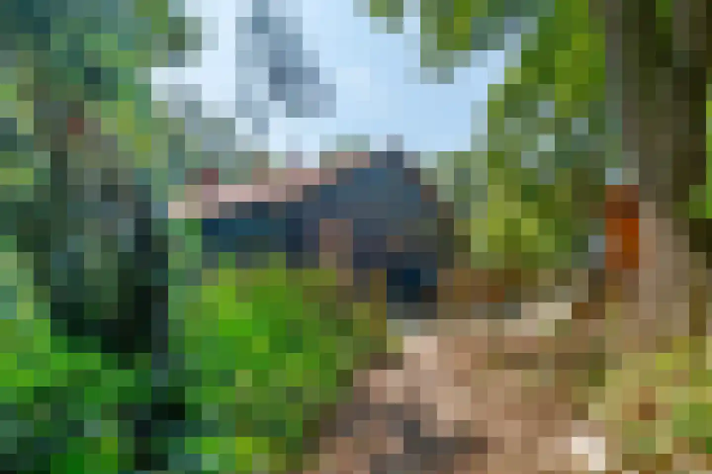 Bosrandweg 37 Dalfsen thumbnail 72
