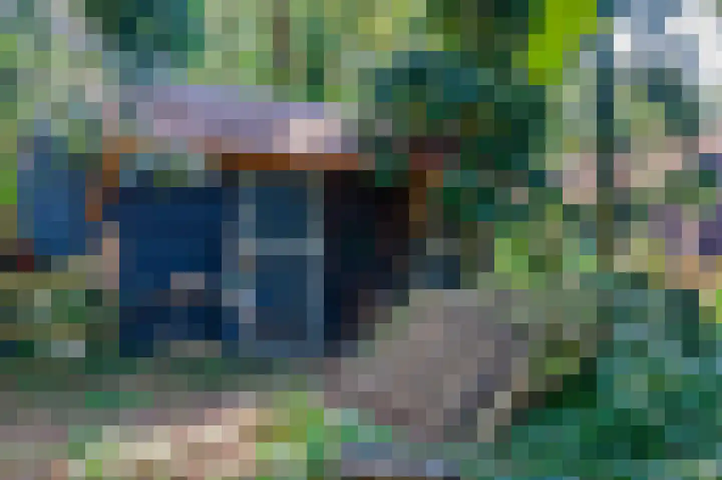 Bosrandweg 37 Dalfsen thumbnail 73