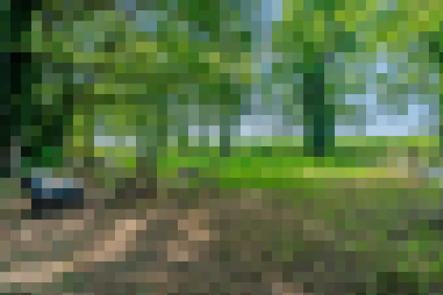 Bosrandweg 37 Dalfsen thumbnail 74