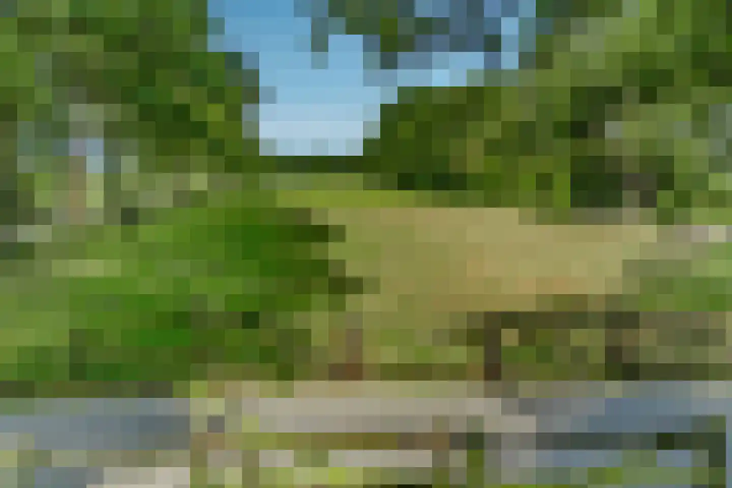 Bosrandweg 37 Dalfsen thumbnail 75