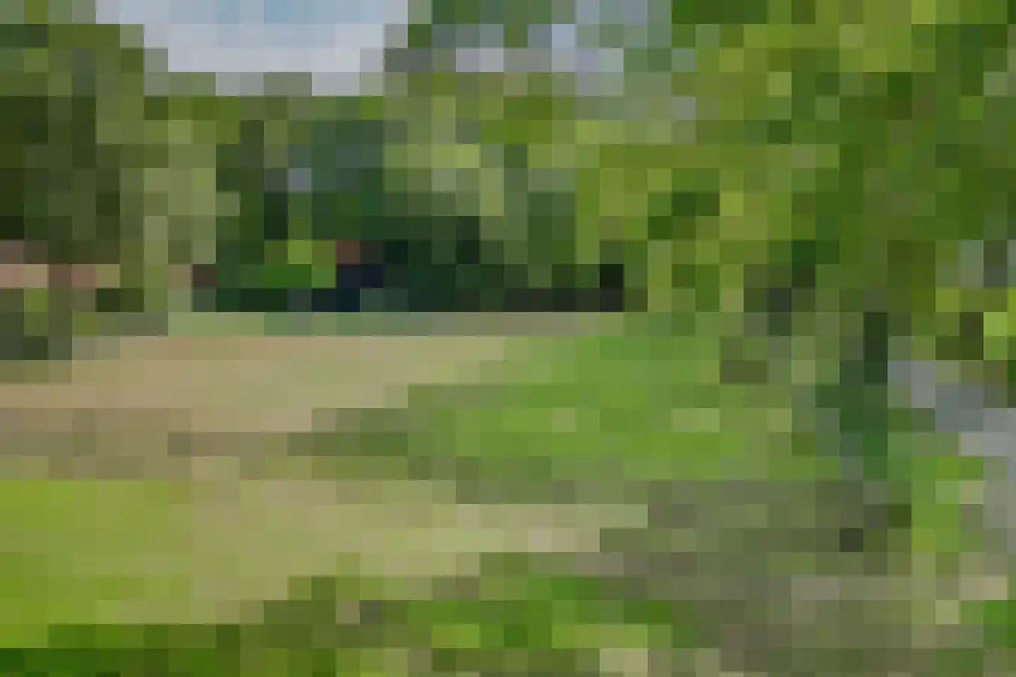 Bosrandweg 37 Dalfsen thumbnail 76