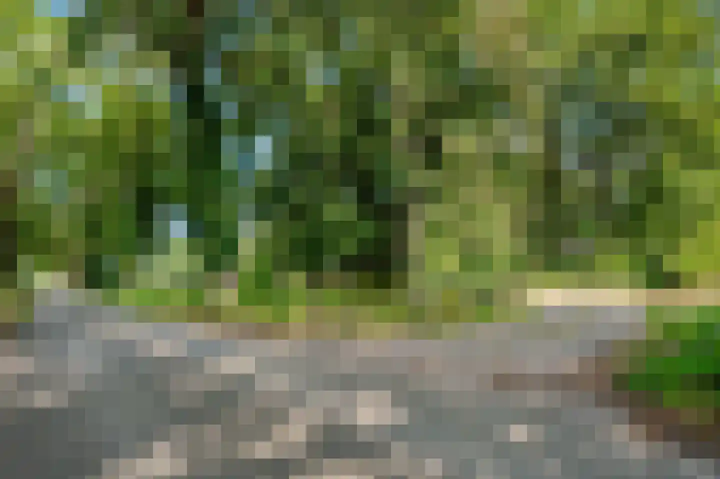 Bosrandweg 37 Dalfsen thumbnail 77