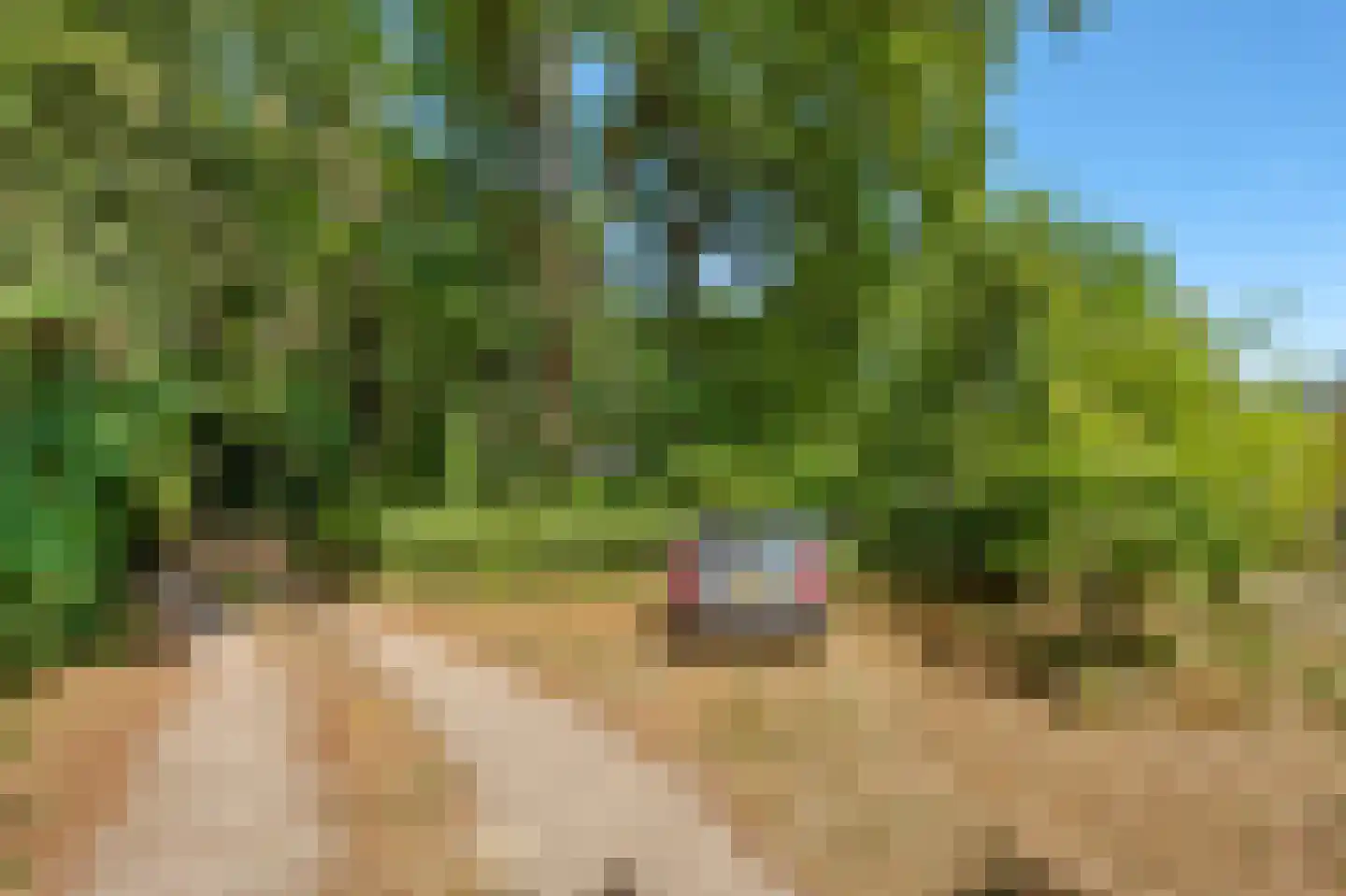 Bosrandweg 37 Dalfsen thumbnail 78