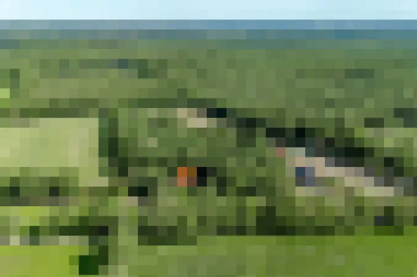 Bosrandweg 37 Dalfsen thumbnail 81