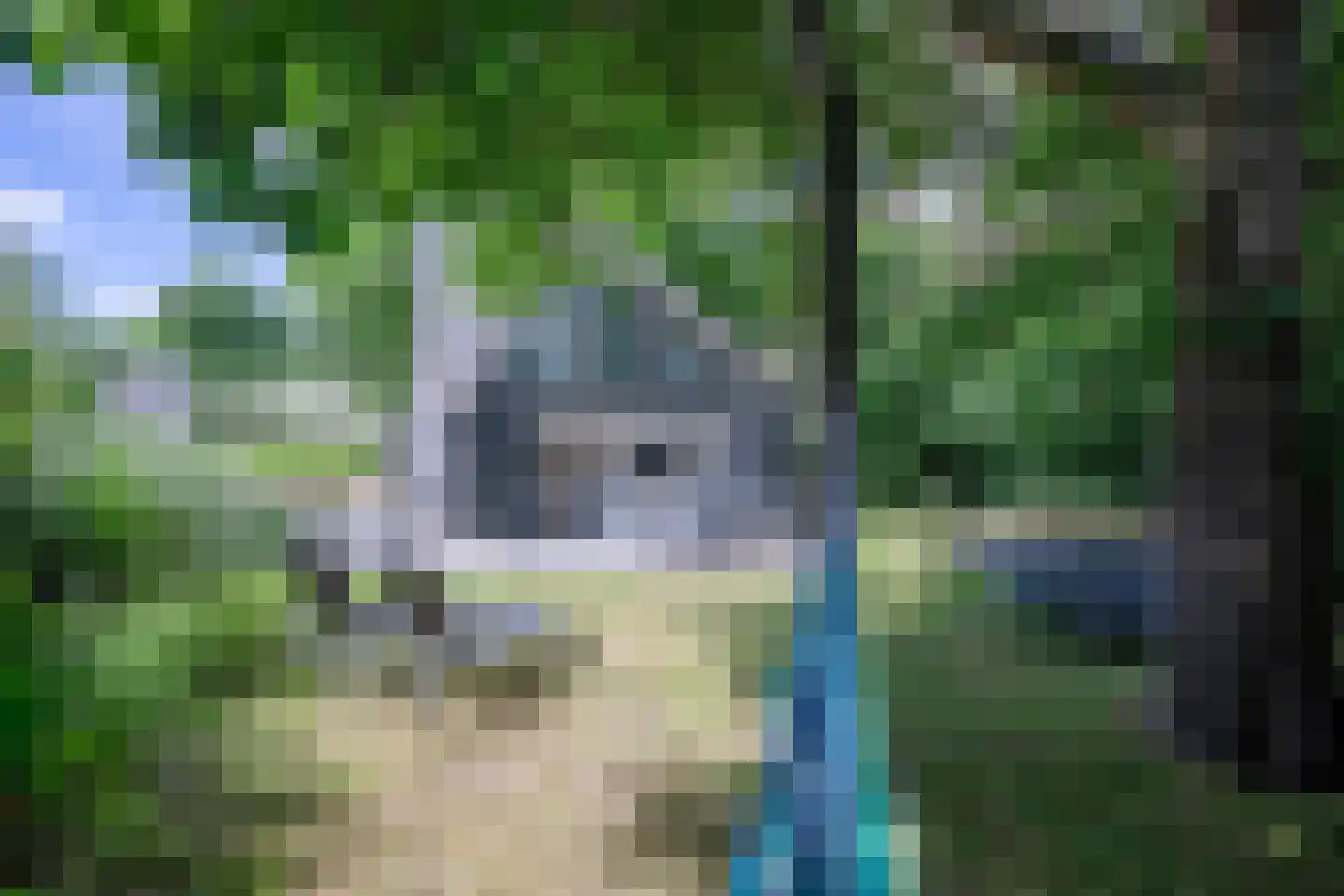 Bosrandweg 487 De Koog thumbnail 4