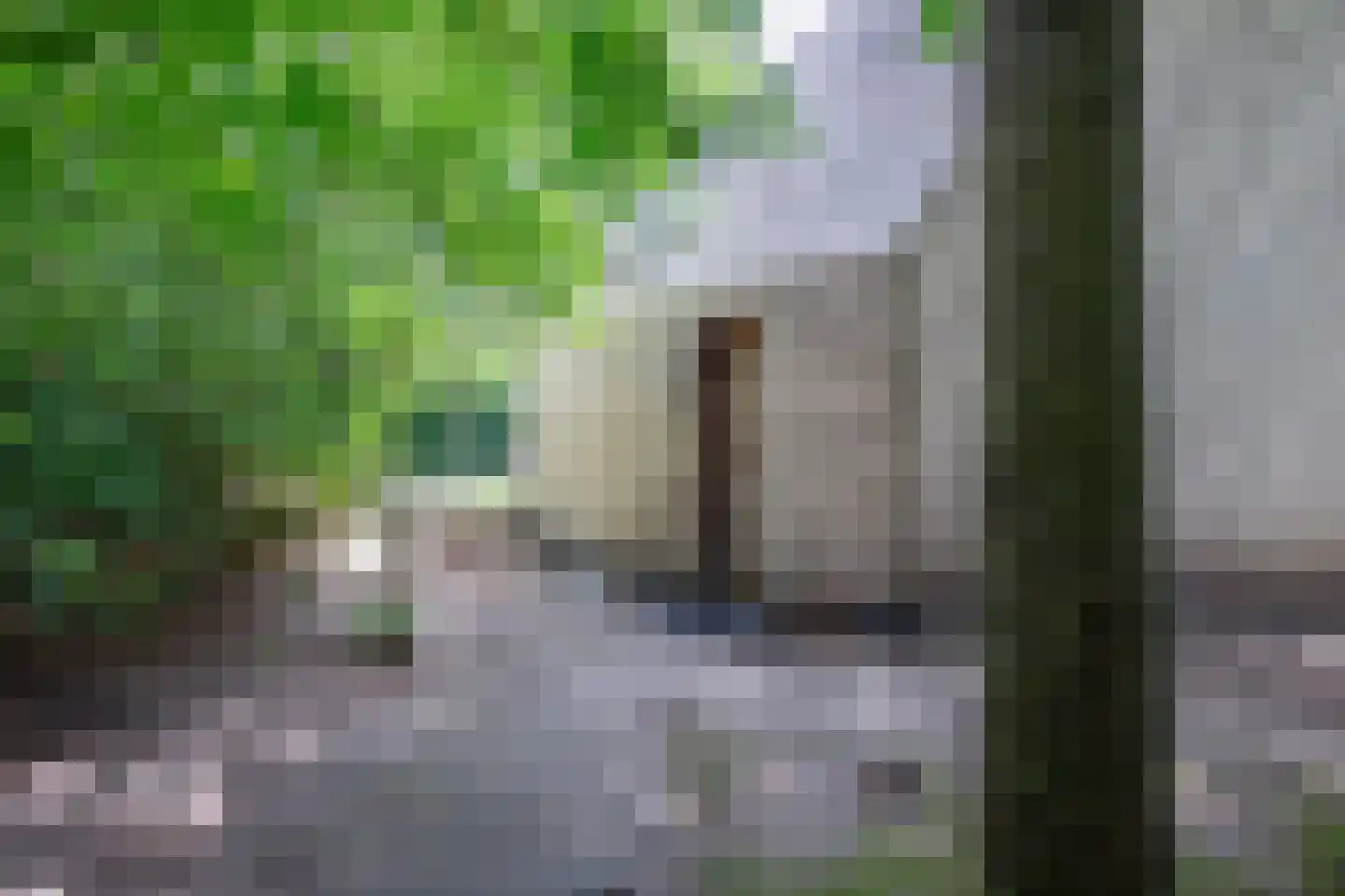 Bosrandweg 487 De Koog thumbnail 42