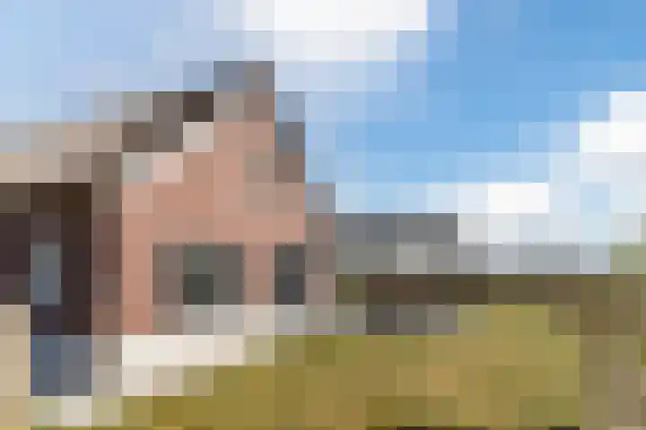 Bosrandweg 5 r c4 Someren thumbnail 33