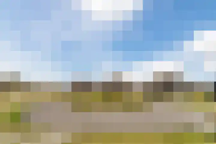 Bosrandweg 5 r c4 Someren thumbnail 35