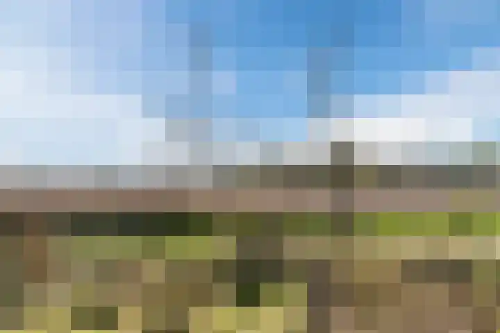 Bosrandweg 5 r c4 Someren thumbnail 37