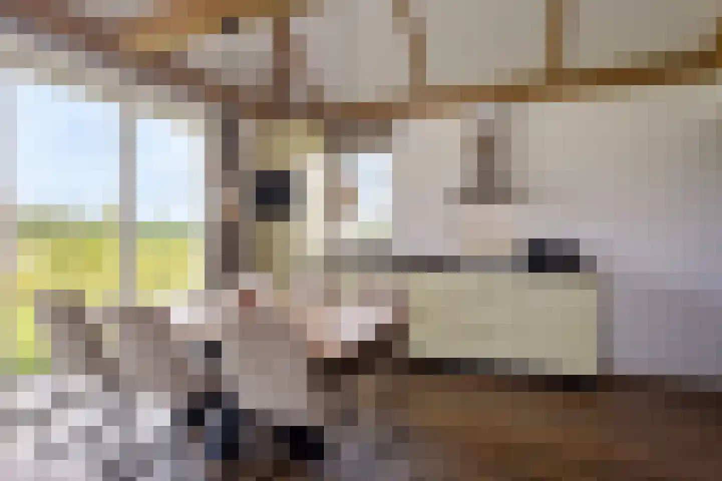 Bosrandweg 5 r e6 Someren thumbnail 10