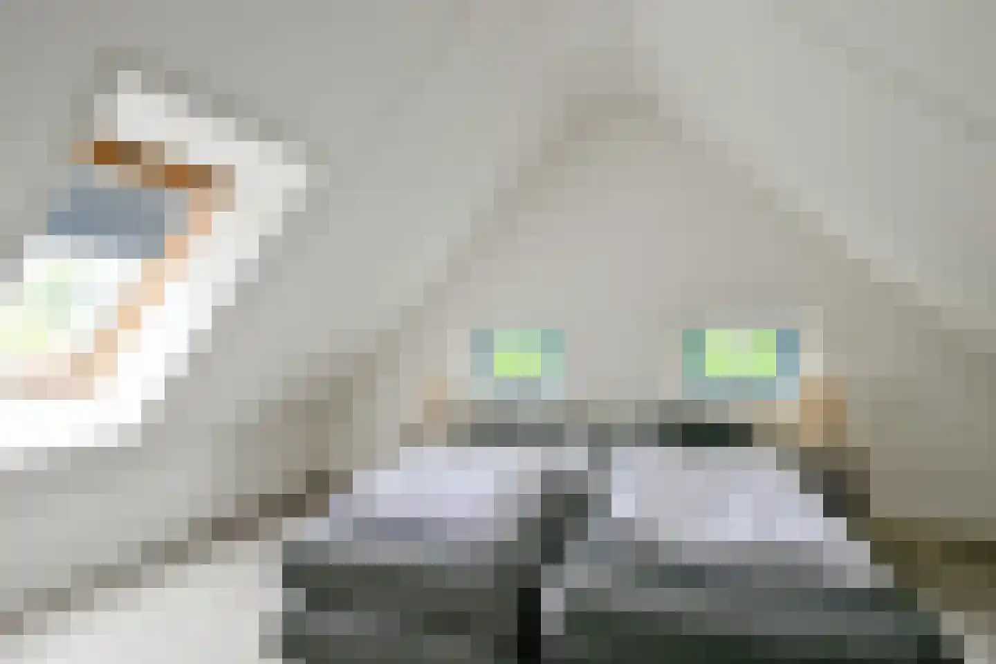 Bosrandweg 648 De Koog thumbnail 27