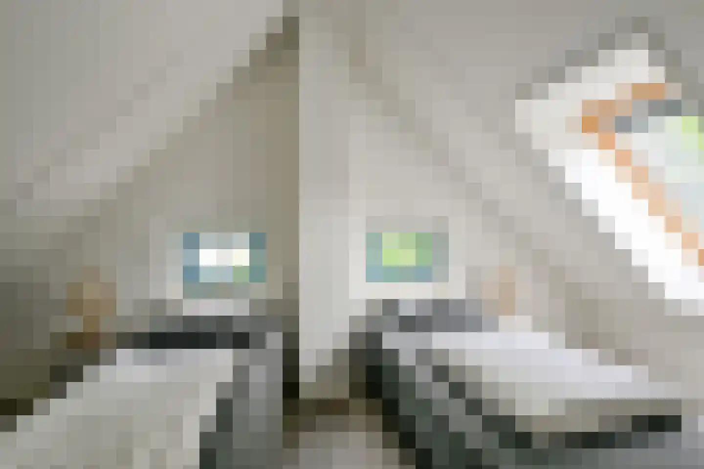 Bosrandweg 648 De Koog thumbnail 30