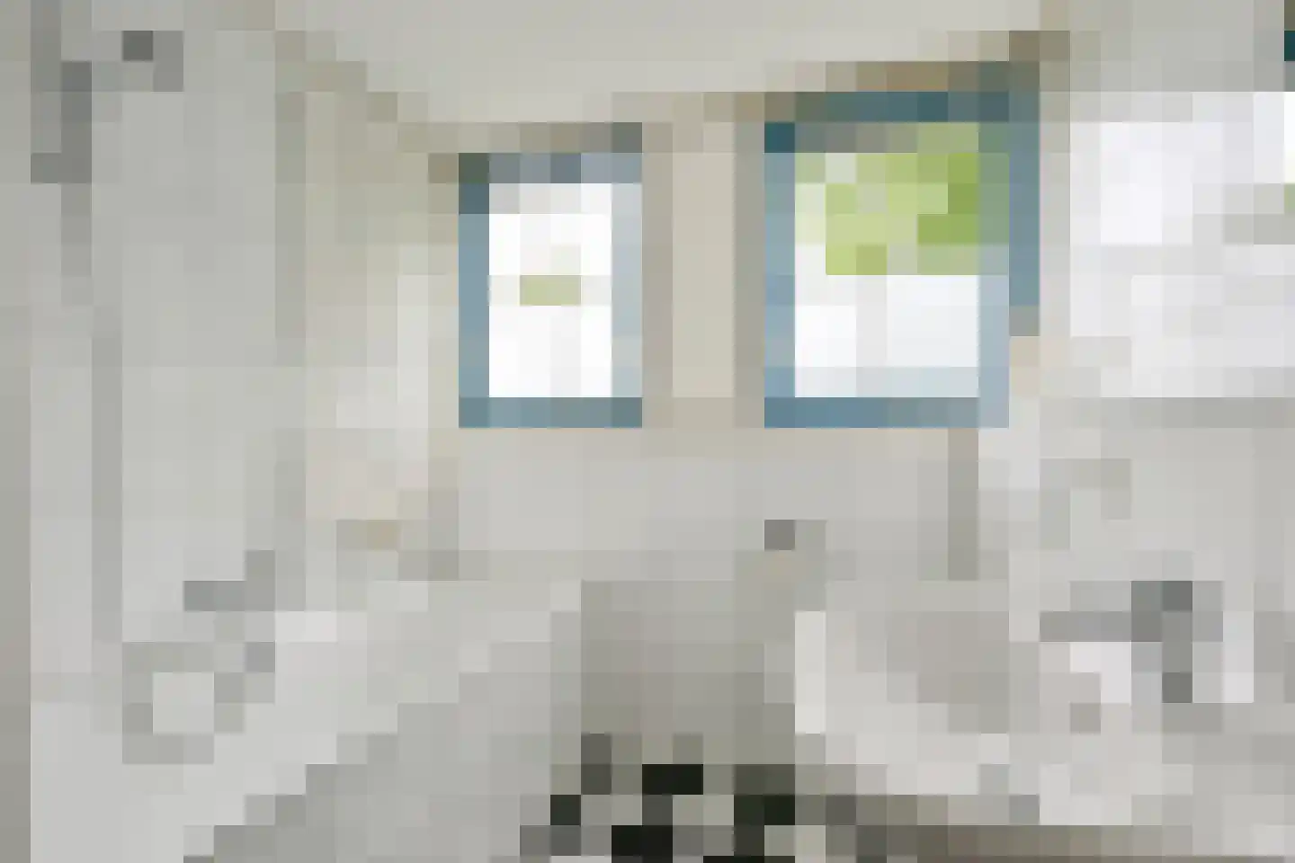 Bosrandweg 648 De Koog thumbnail 34