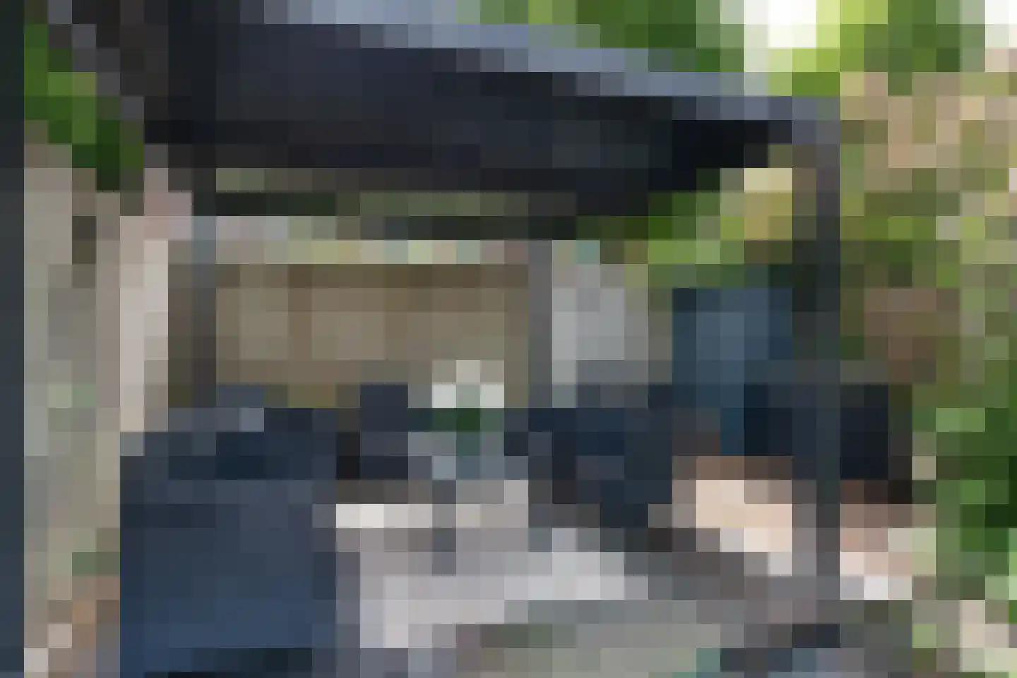 Bosrank 17 Oude Wetering thumbnail 12