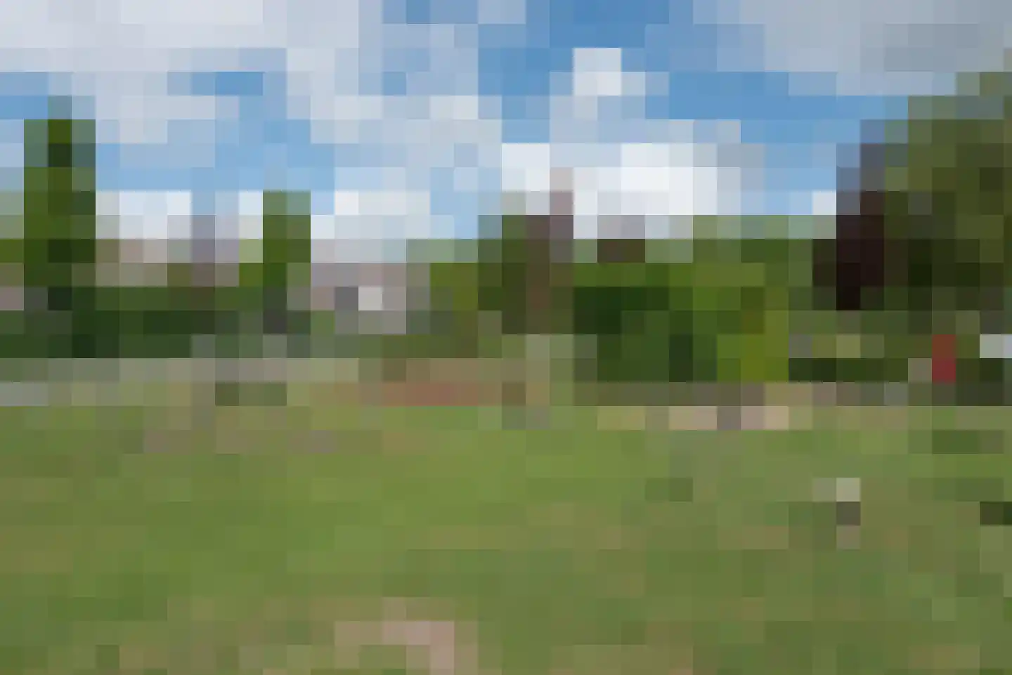 Bosrank 17 Oude Wetering thumbnail 24