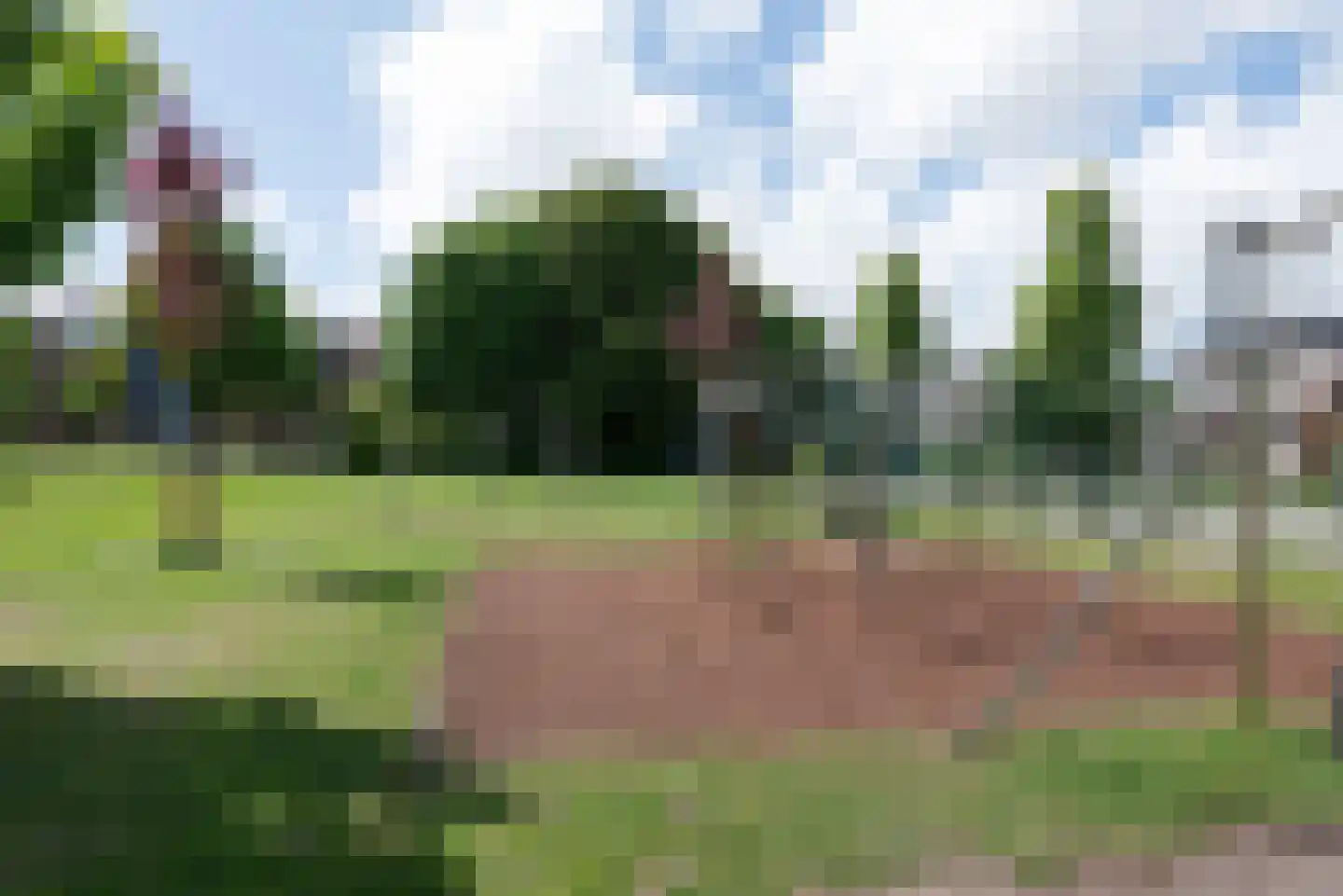 Bosrank 17 Oude Wetering thumbnail 25