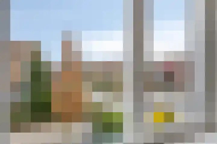 Bosrank 19 Assen thumbnail 33