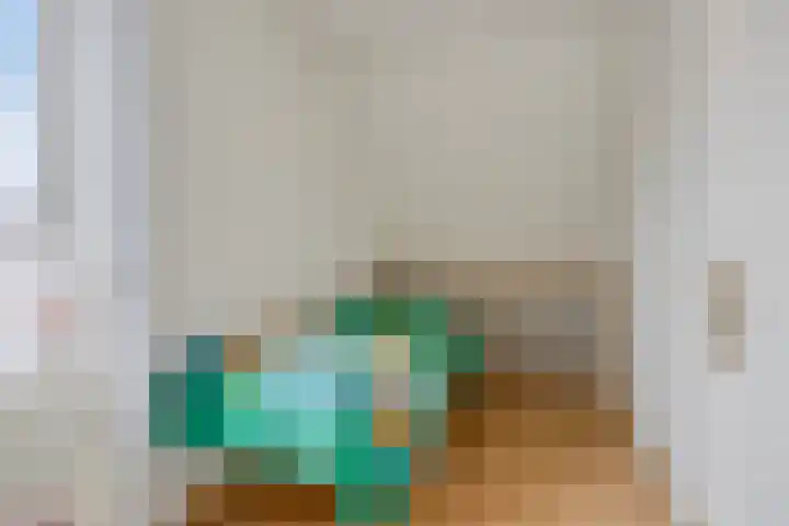 Bosrank 19 Assen thumbnail 35