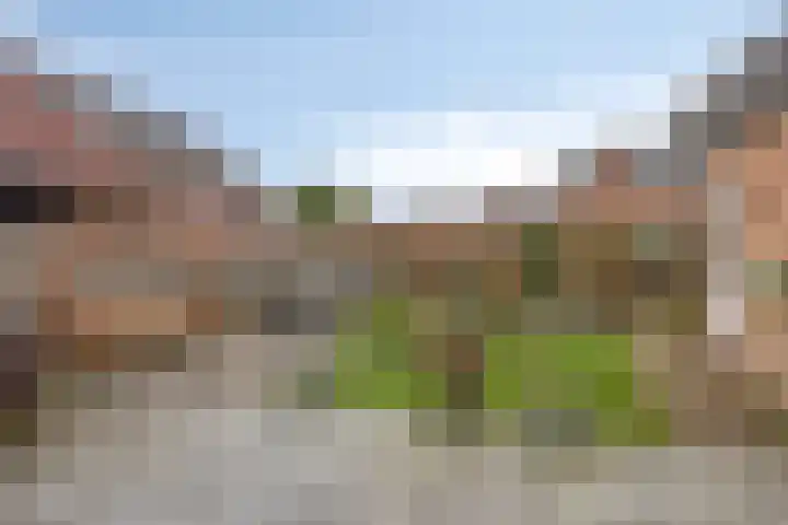 Bosrank 19 Assen thumbnail 40