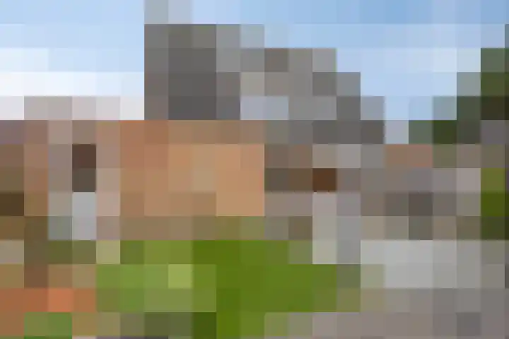 Bosrank 19 Assen thumbnail 41