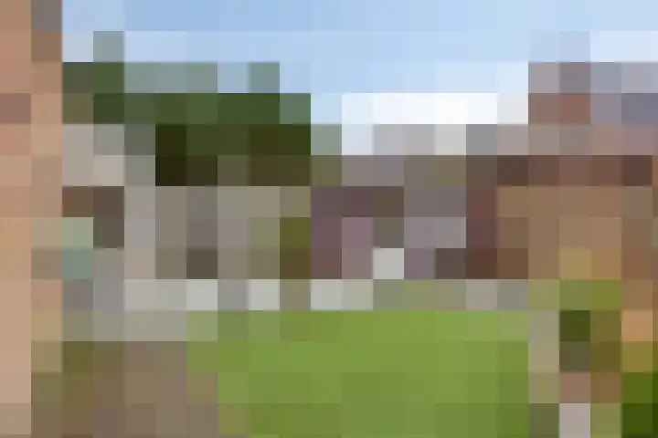 Bosrank 19 Assen thumbnail 43