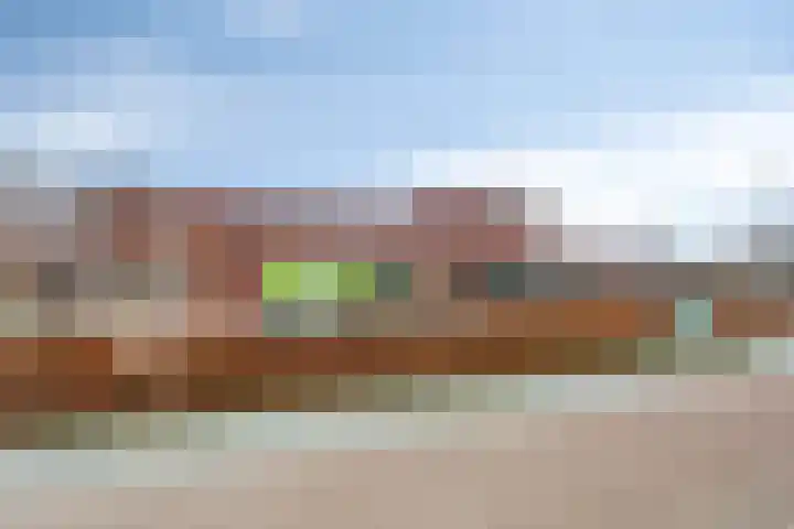 Bosrank 19 Assen thumbnail 45
