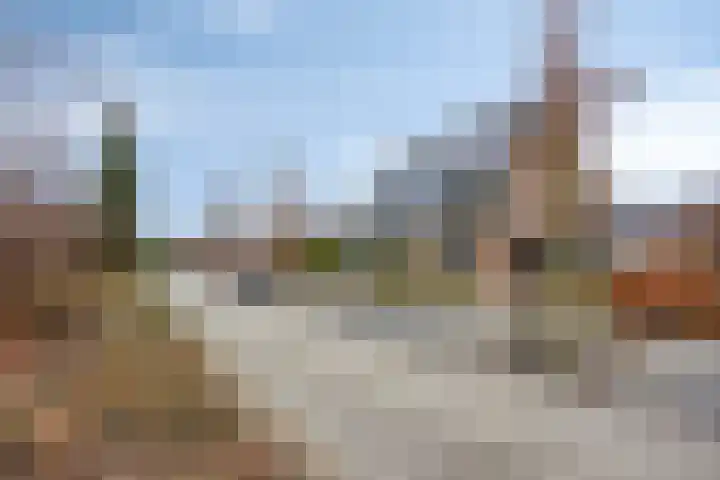Bosrank 19 Assen thumbnail 5