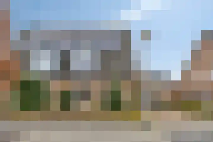 Bosrank 19 Assen thumbnail 6