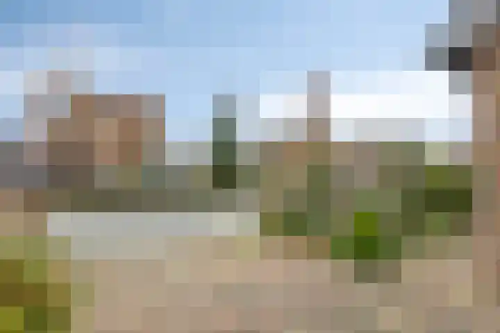 Bosrank 19 Assen thumbnail 7
